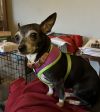Maizey photo 2