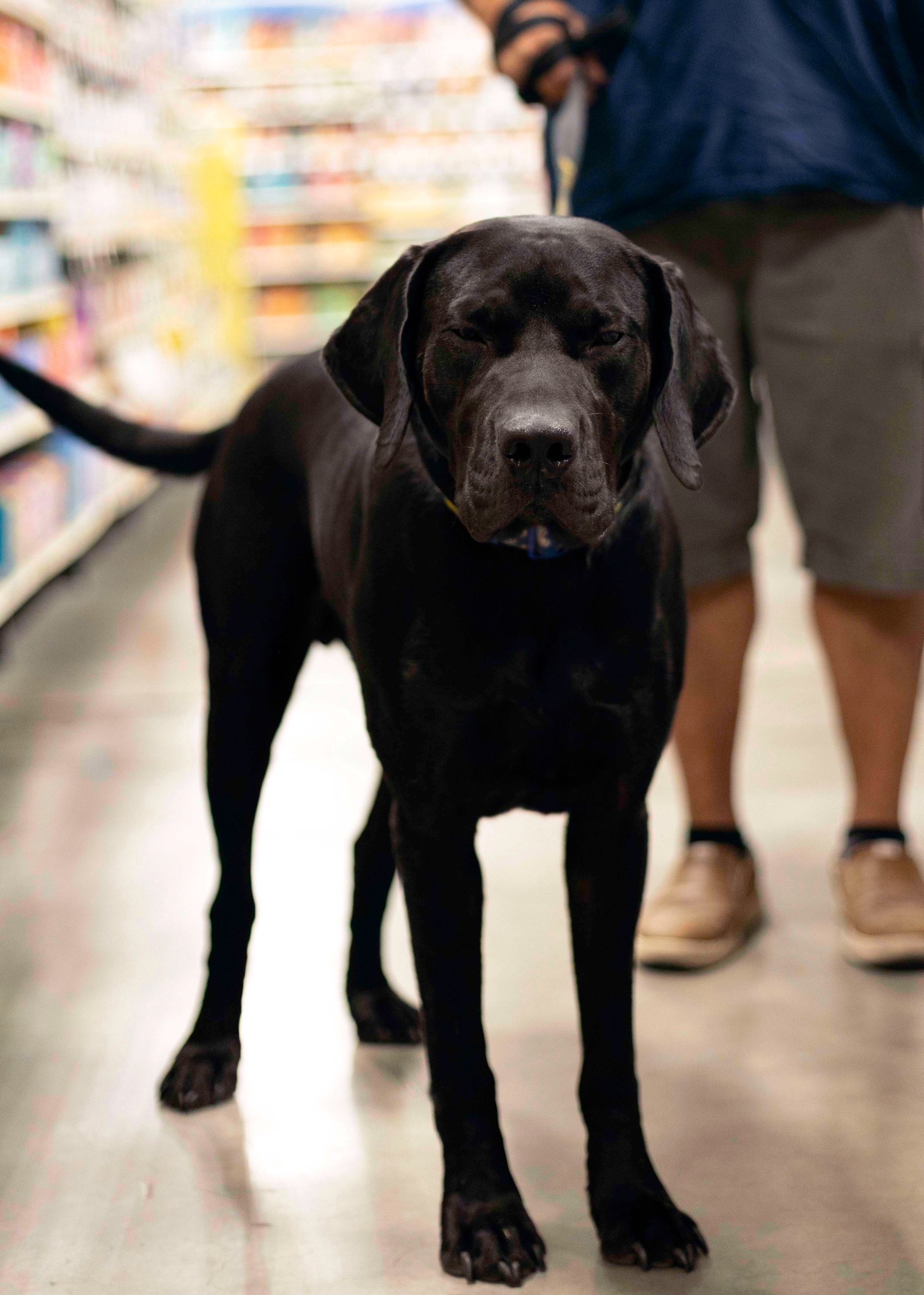 Ruger