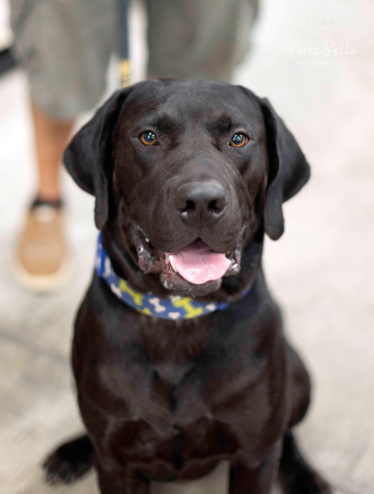 Ruger