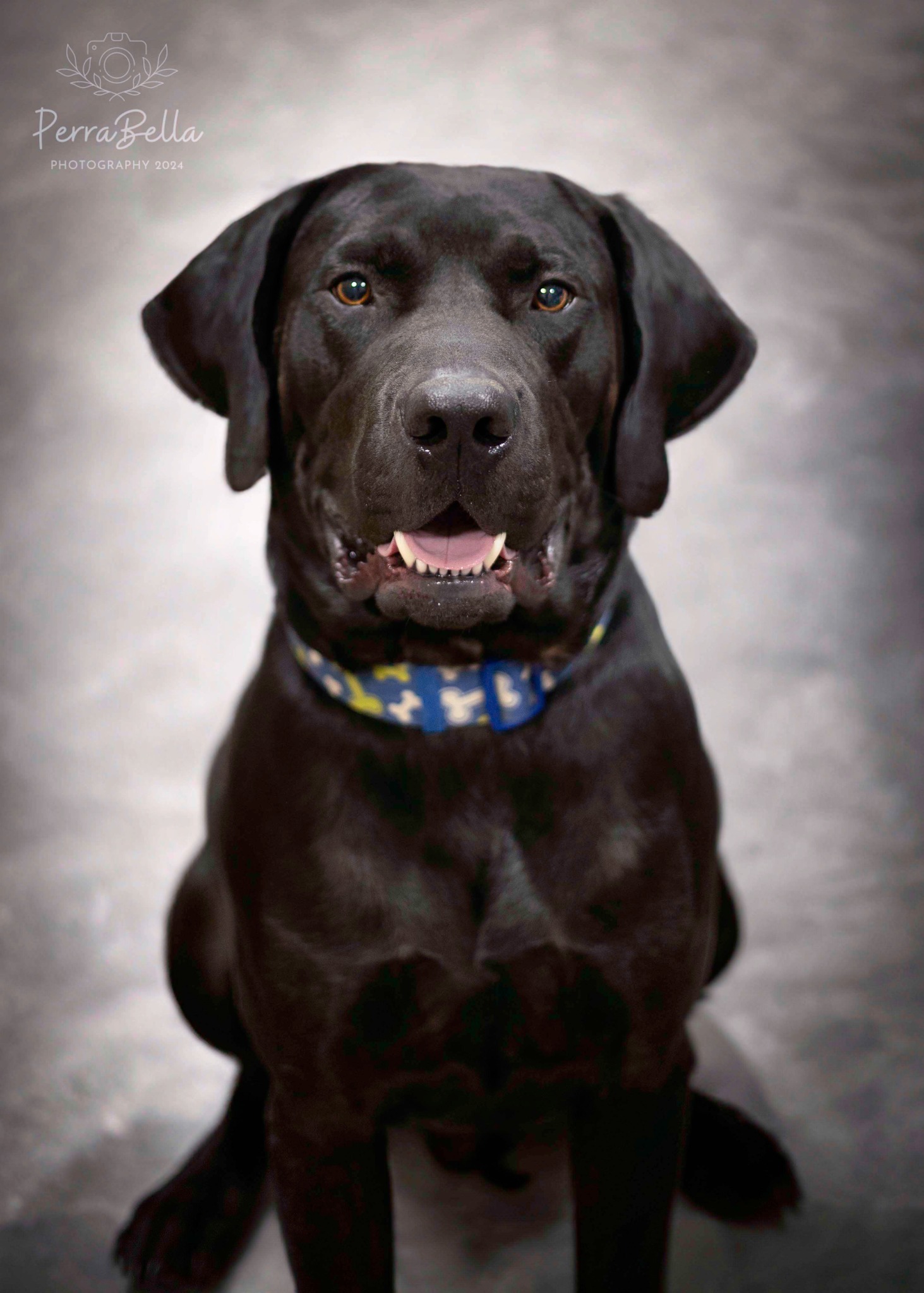 Ruger