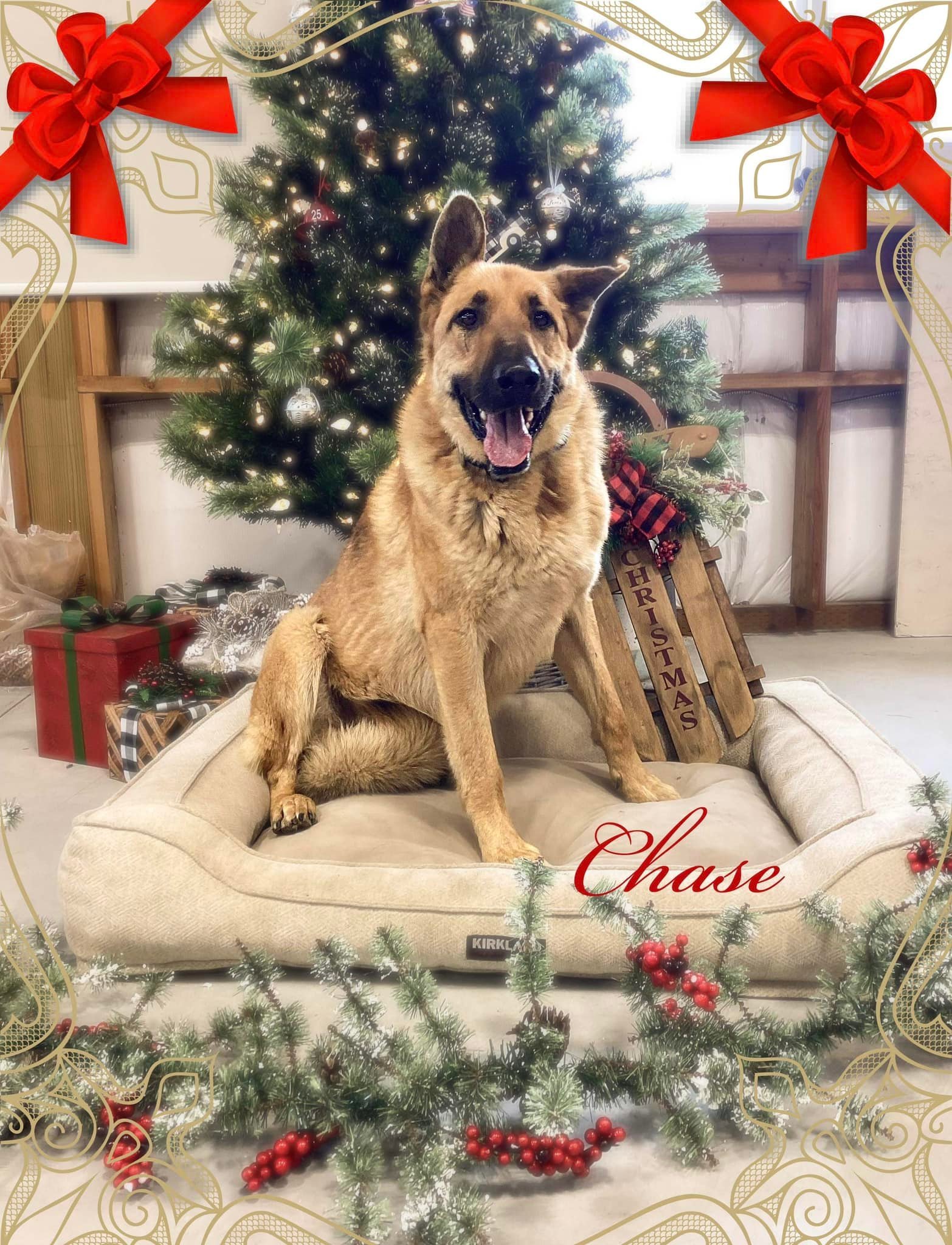 Chase