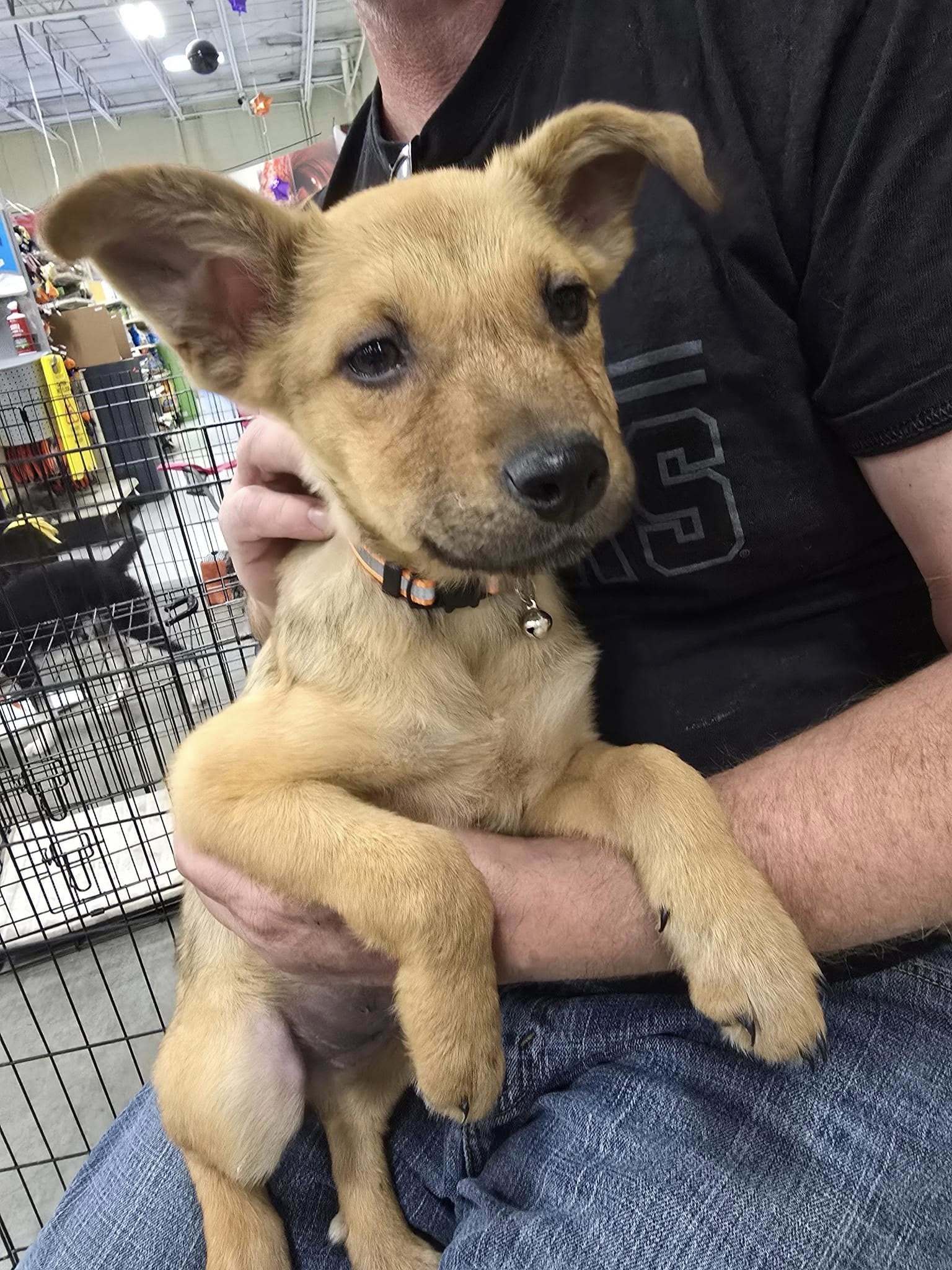 Oscar