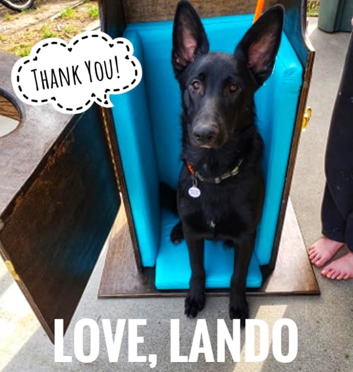 Lando