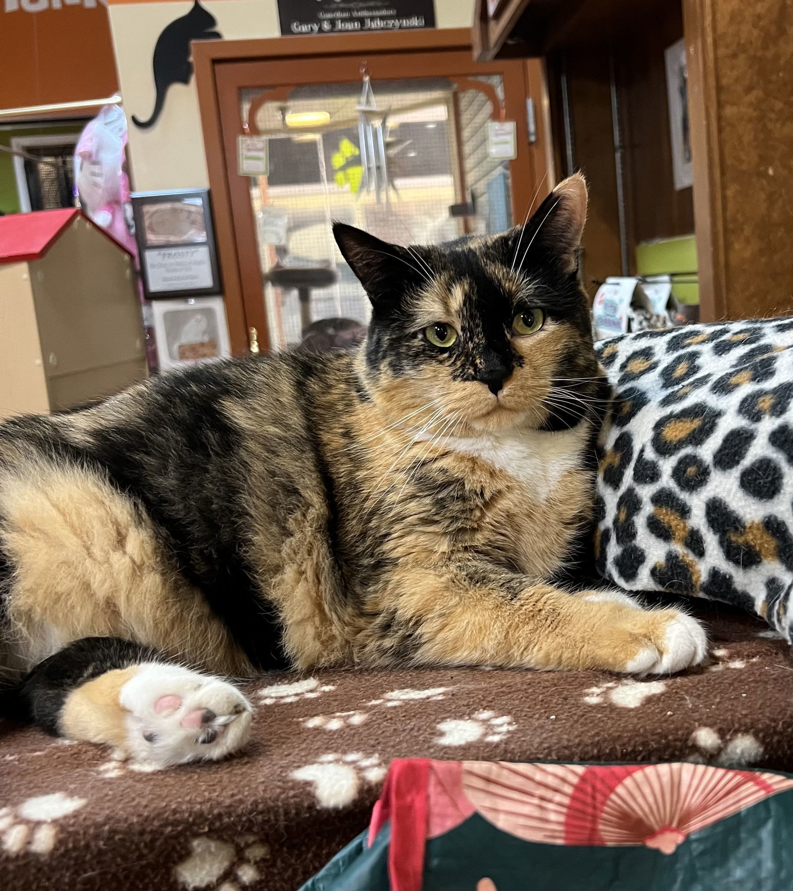Skye