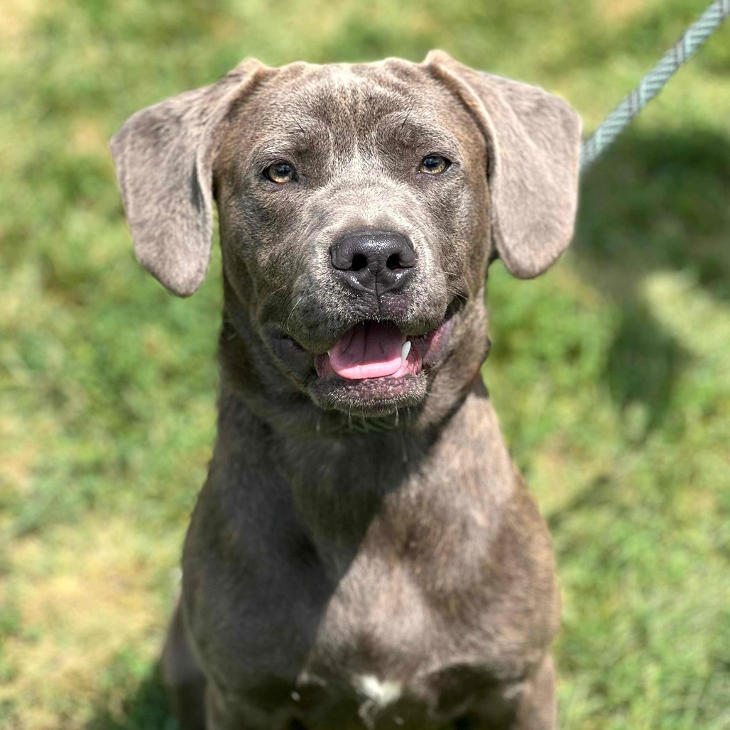 Sokka
