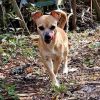 Kima photo 2