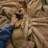 Kima photo 4