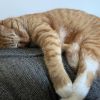 Leroy photo 4