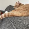 Leroy photo 5
