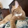 Leroy photo 6