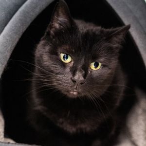 Autumn, Senior Female unknown