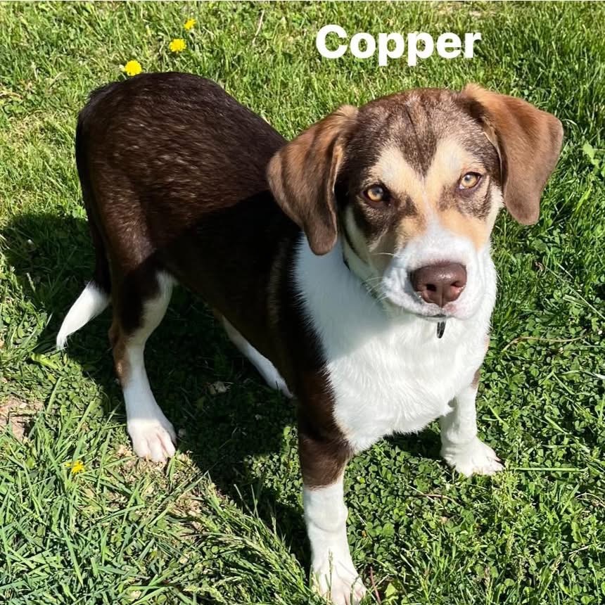 Copper