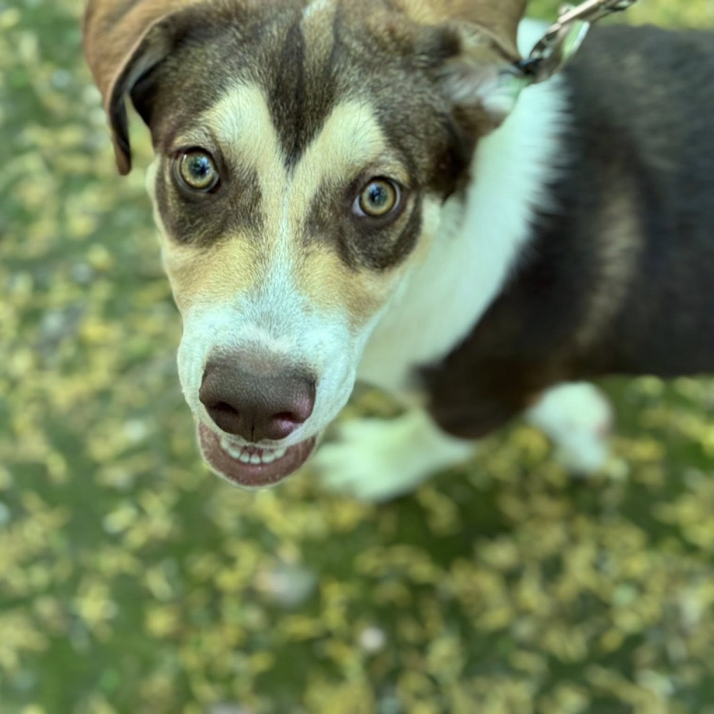 Copper