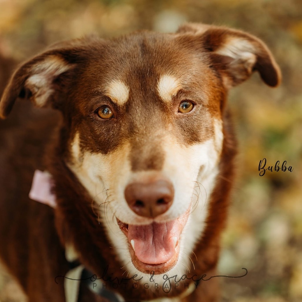 Bubba