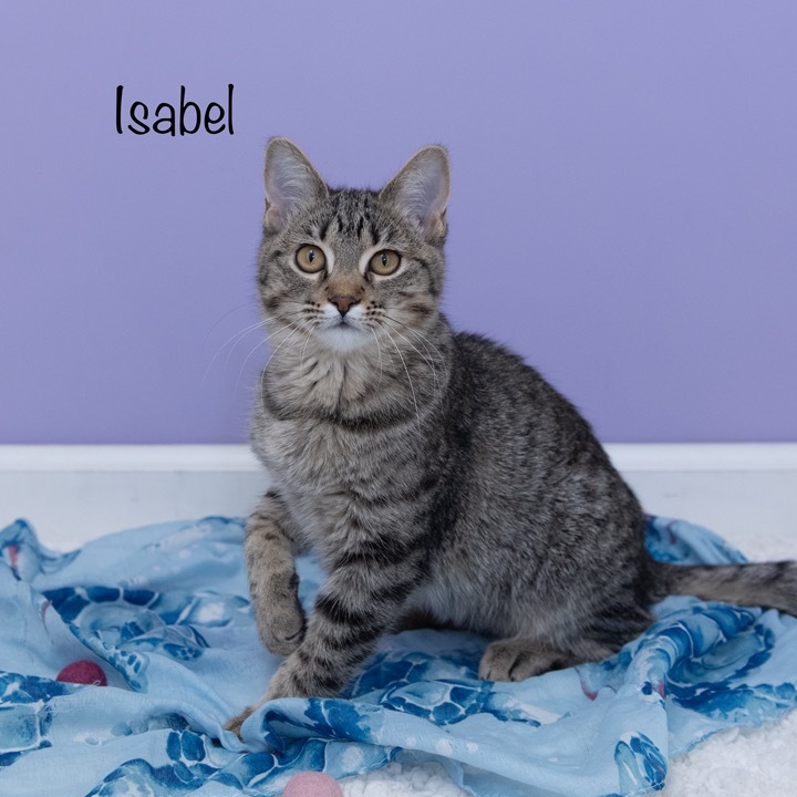 Isabel