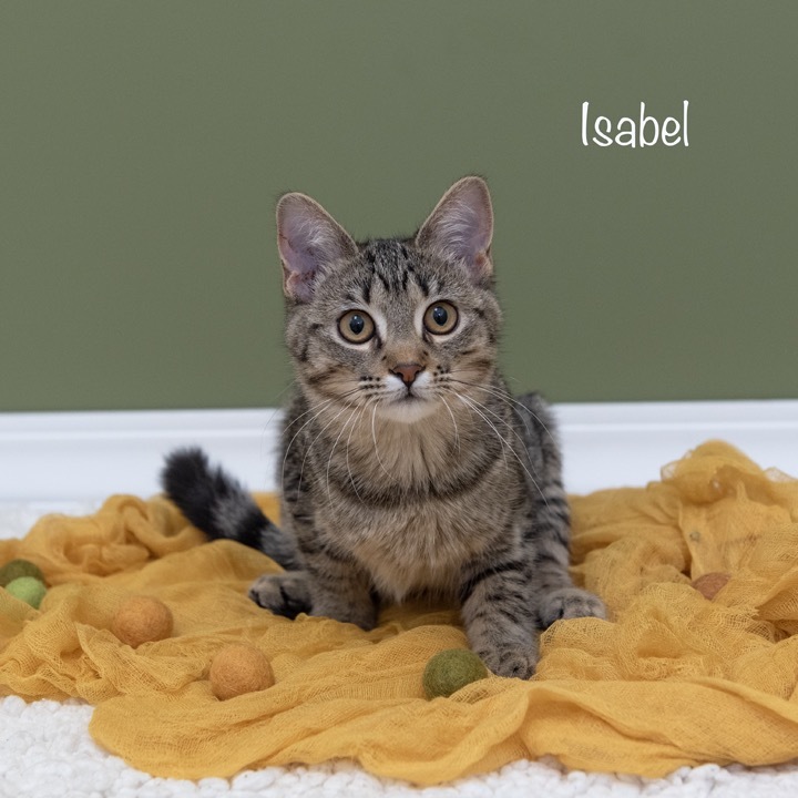 Isabel