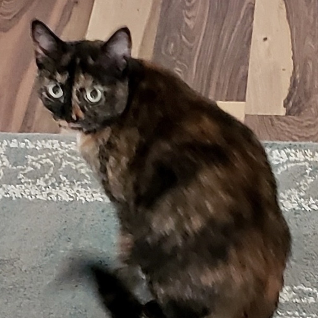 Peggy