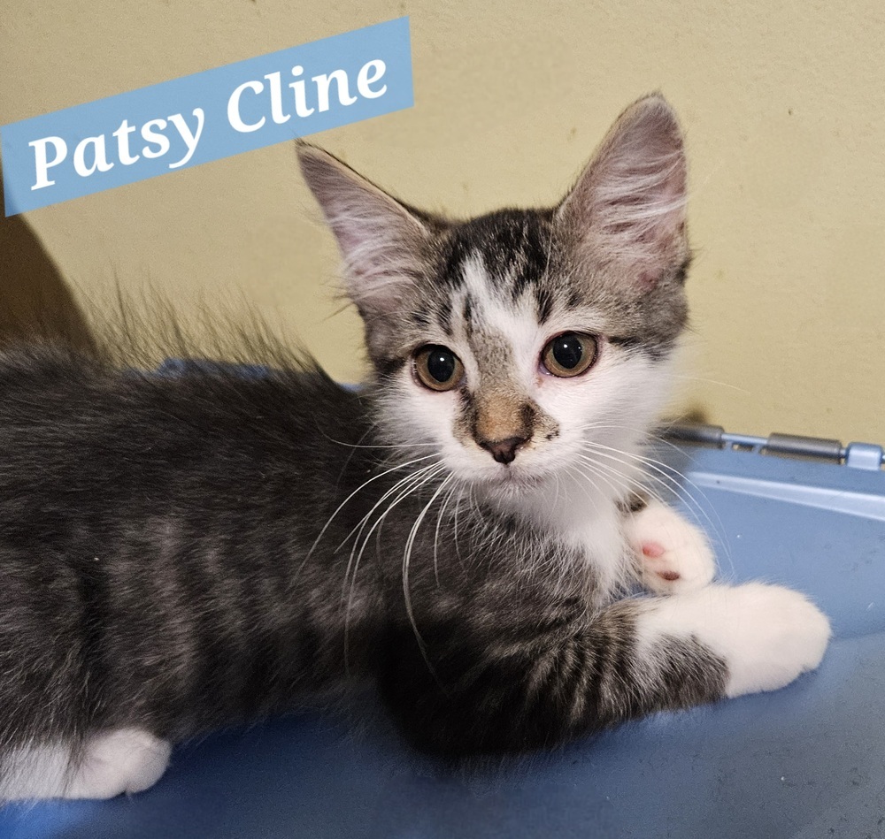 Patsy Cline