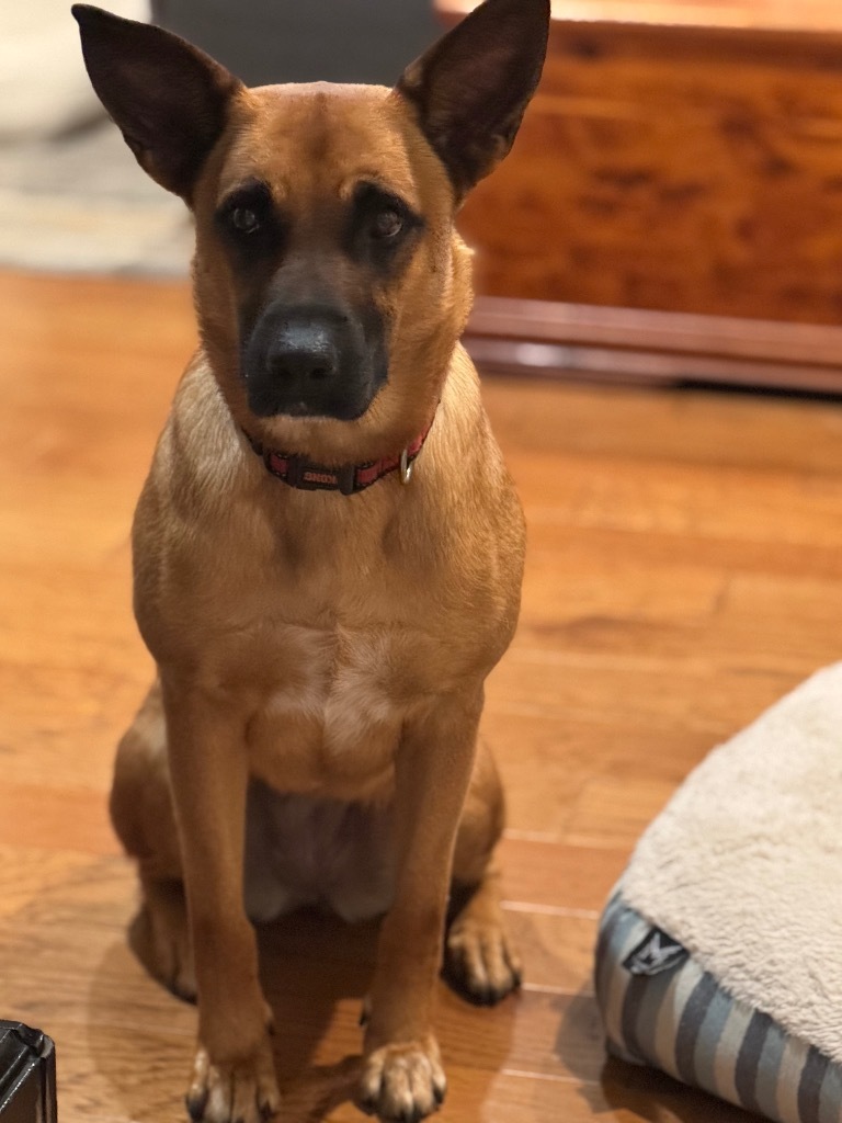 Layla
