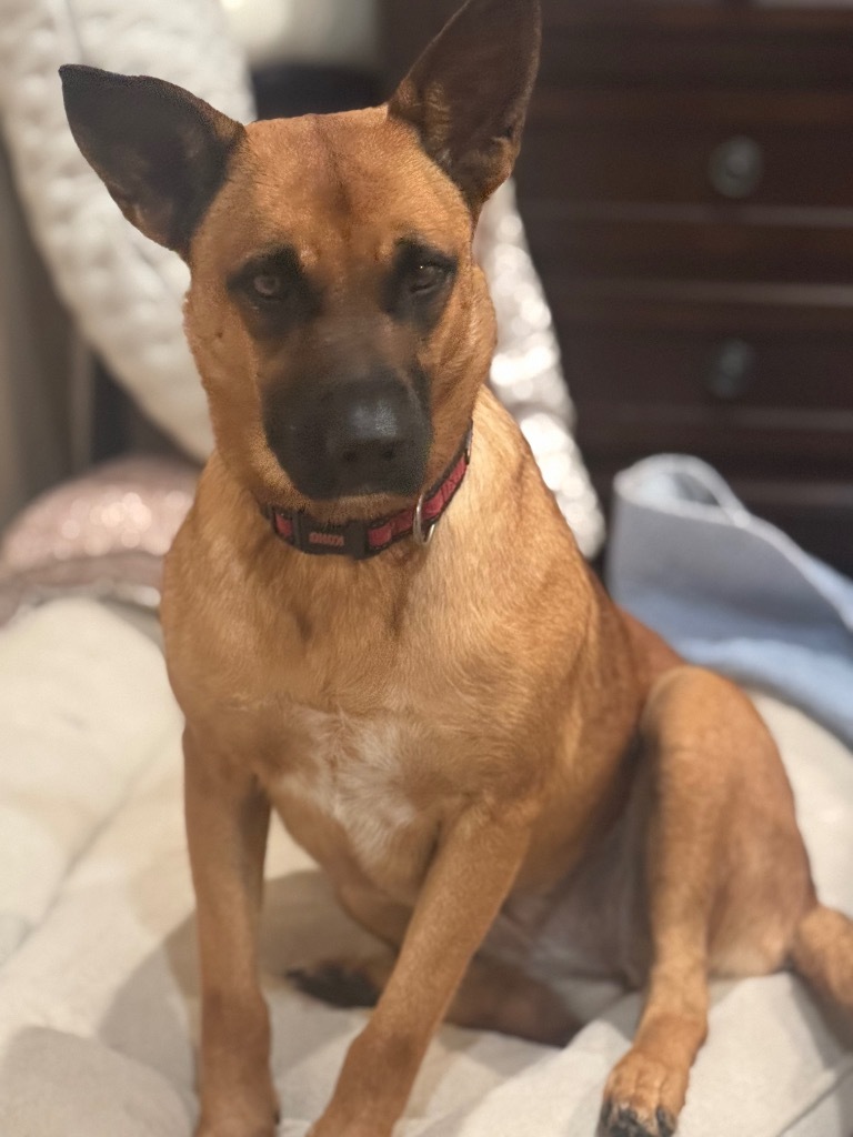Layla