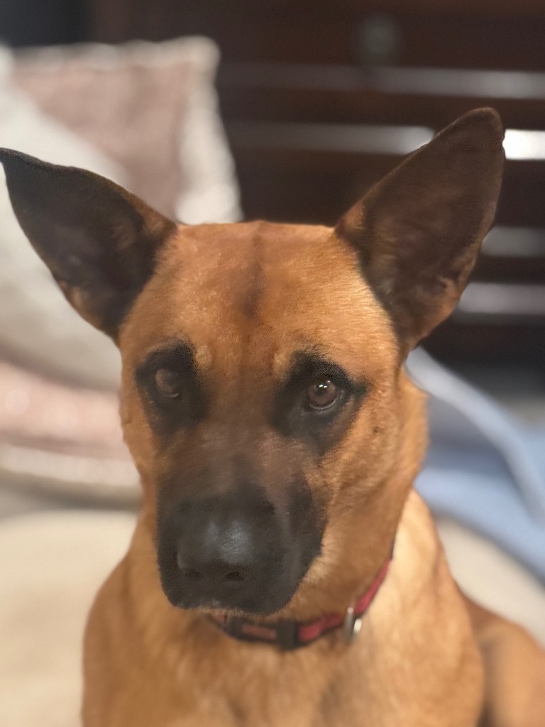 Layla