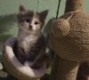 Colby photo 2