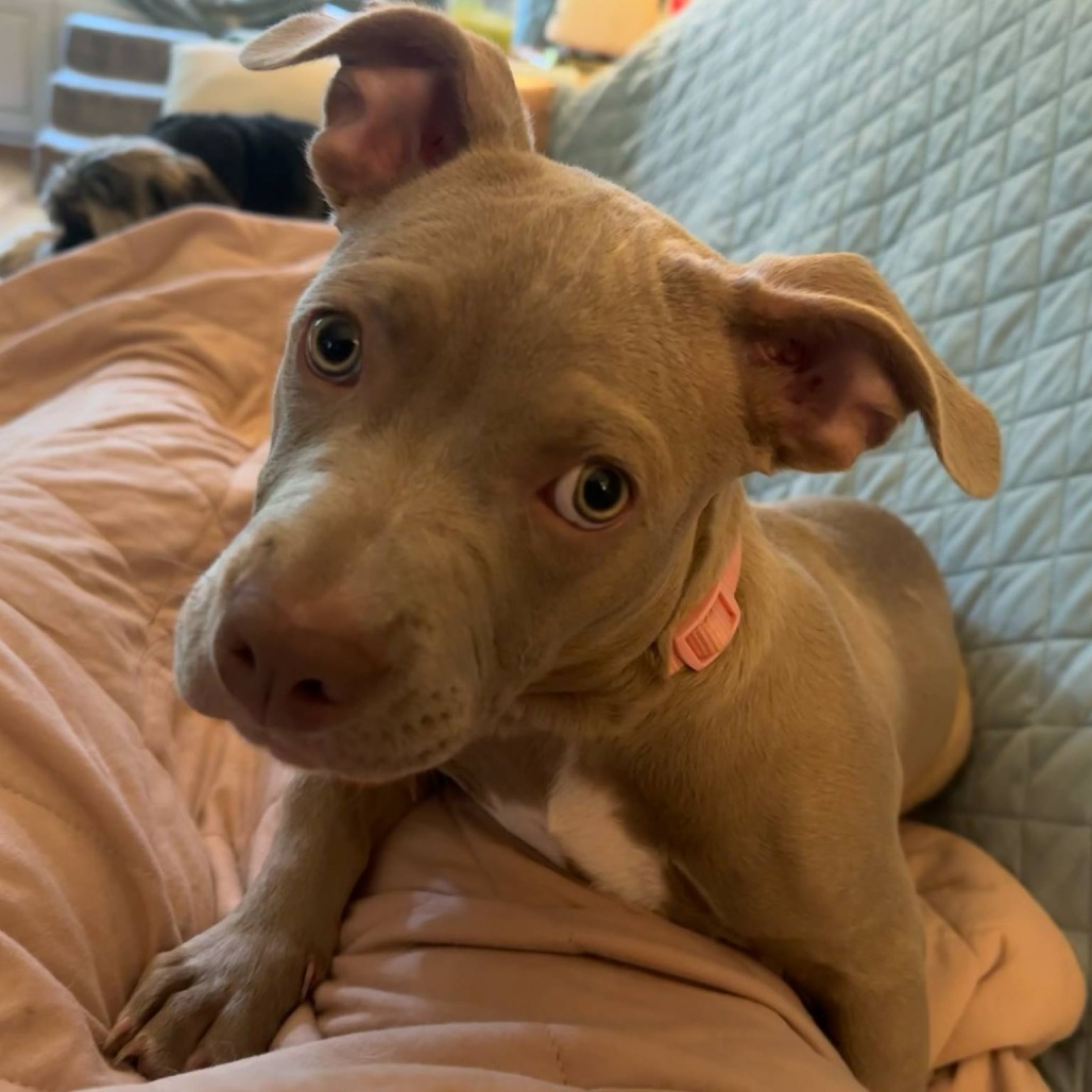 Ruthie