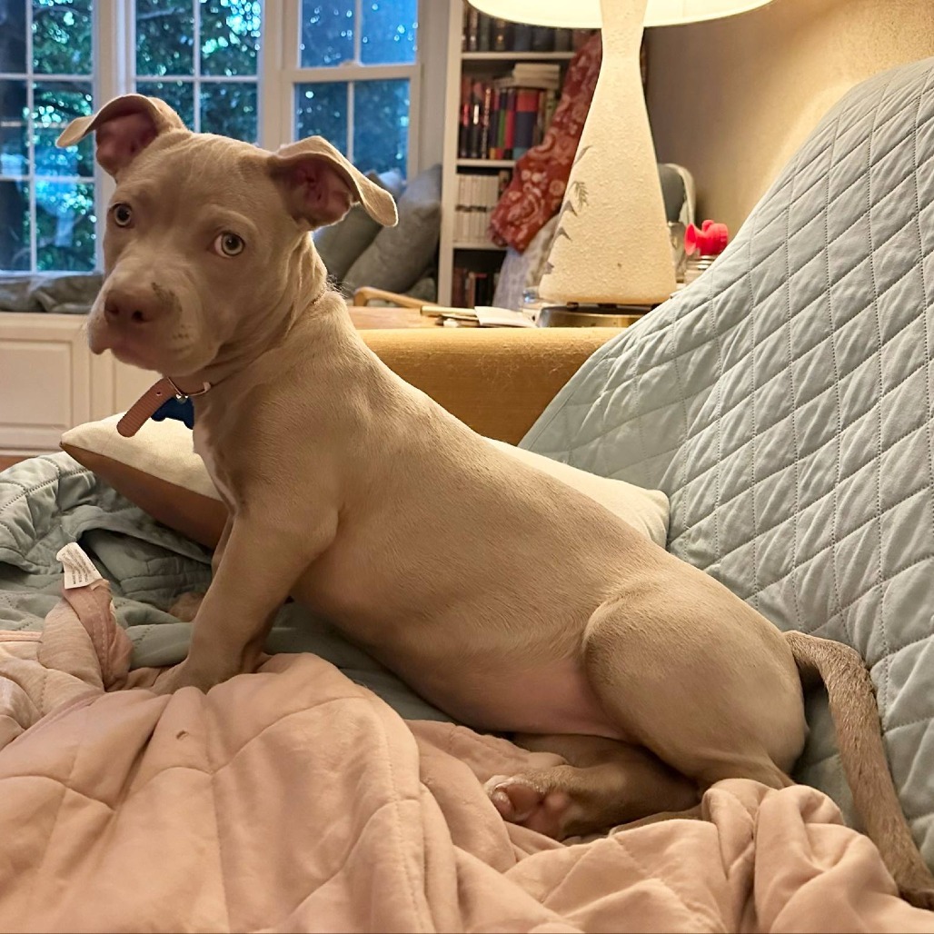 Ruthie