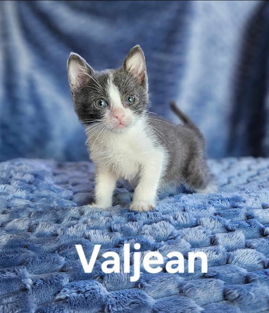 Jean Valjean
