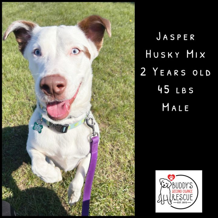 Jasper 1