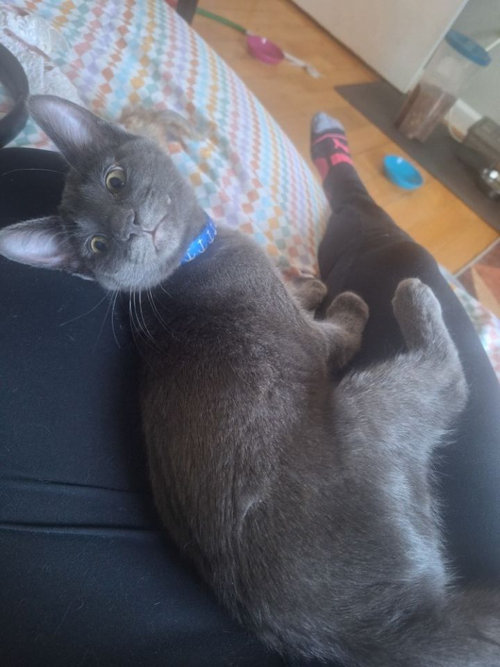 Smokey 3