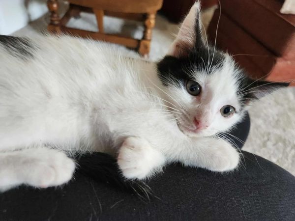 Freddie thumbnail 2