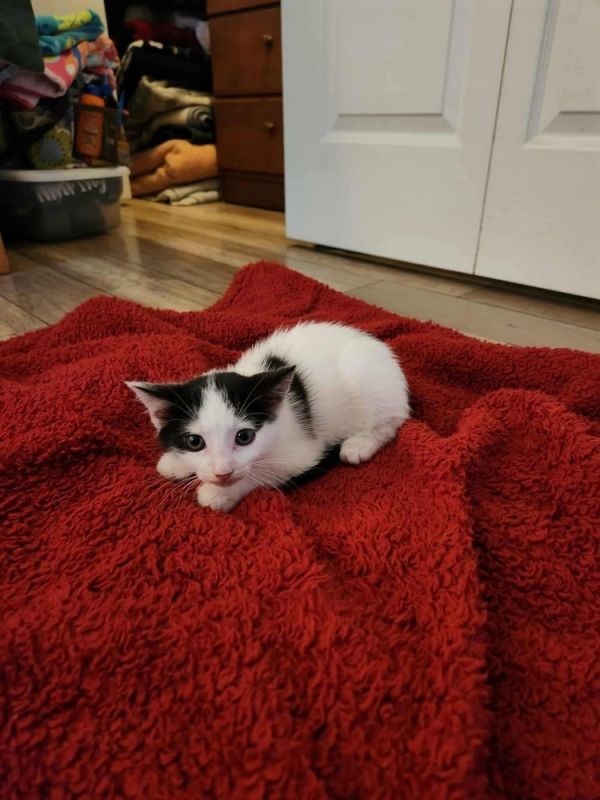Freddie thumbnail 3