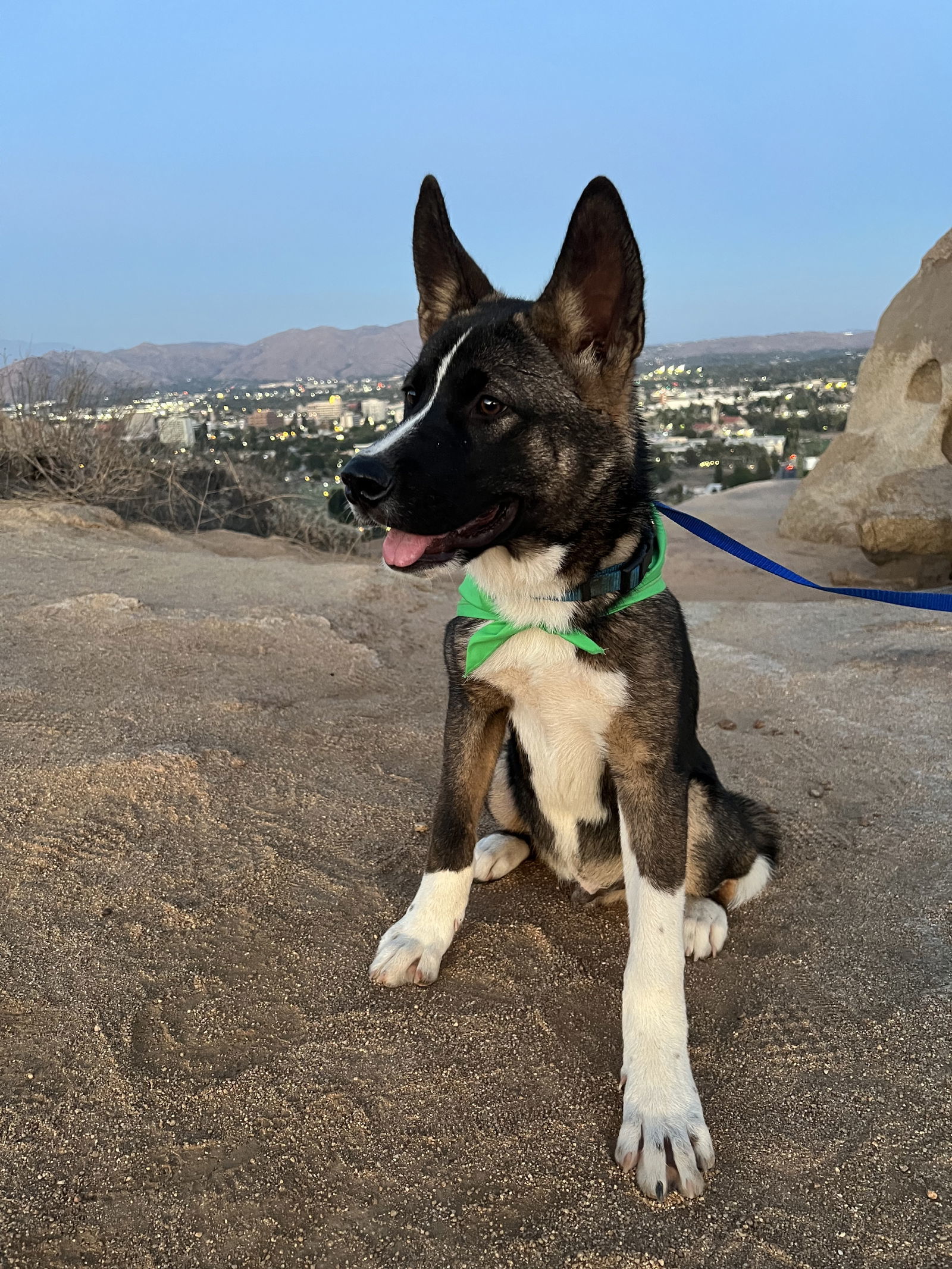 Spirit PUPPY