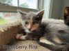 Strawberry Rita photo 1