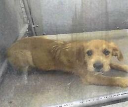 Ernie (A116383)