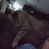 Uncle Iroh photo 5