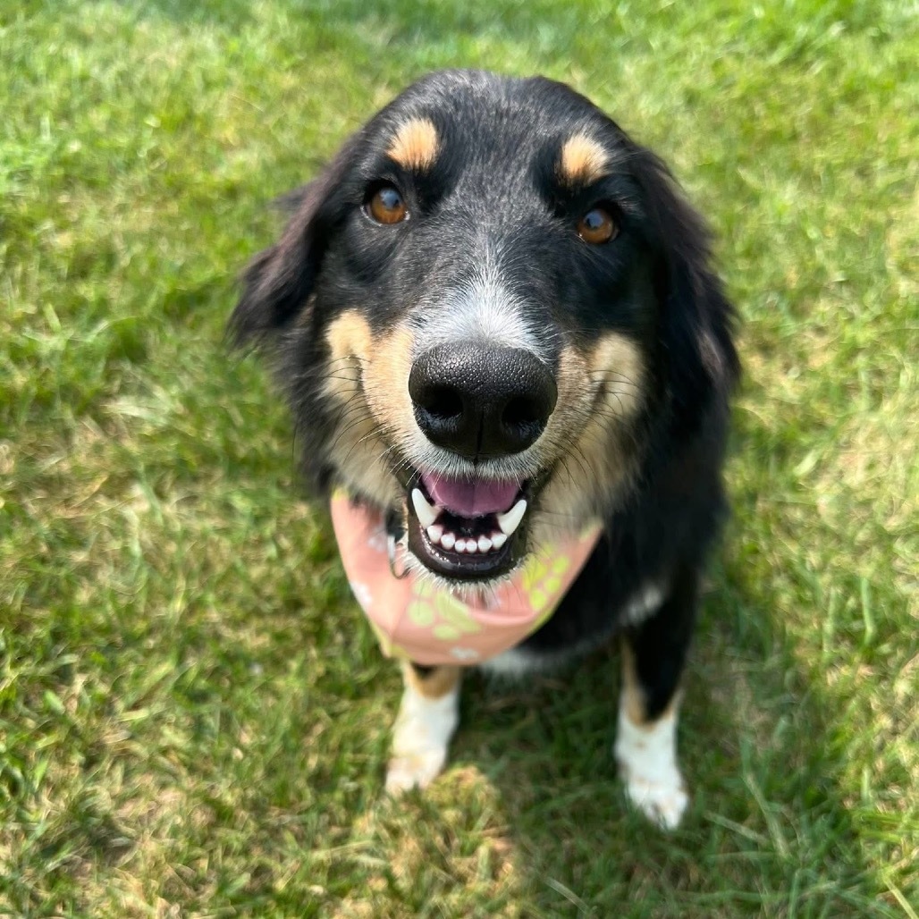 Roxy