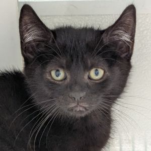 Winifred, Baby Female unknown