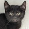 Winifred photo 2