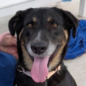 Matilda, Senior Female unknown