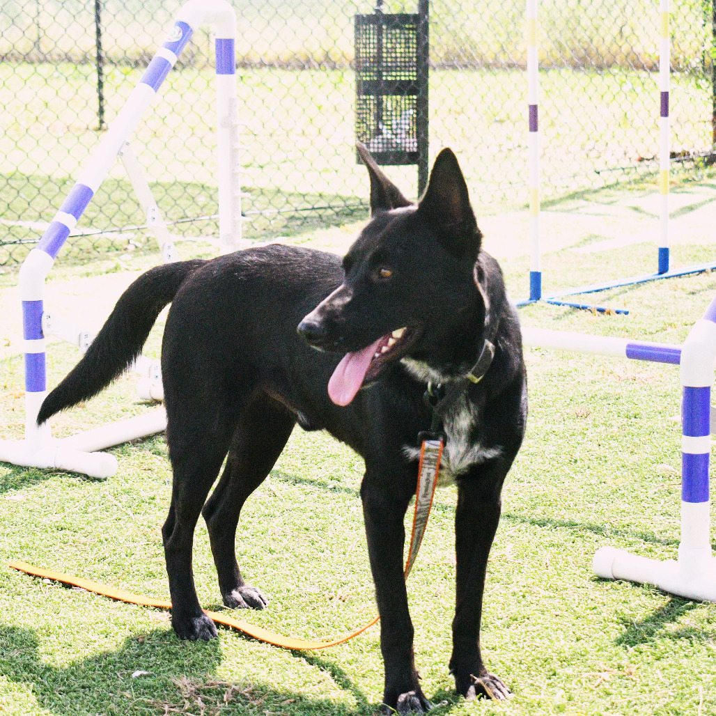 Max