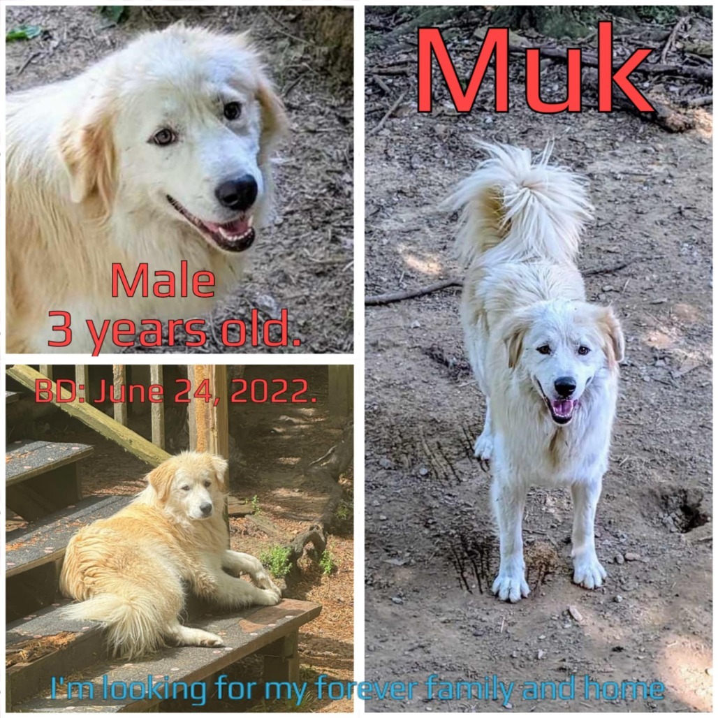 Muk