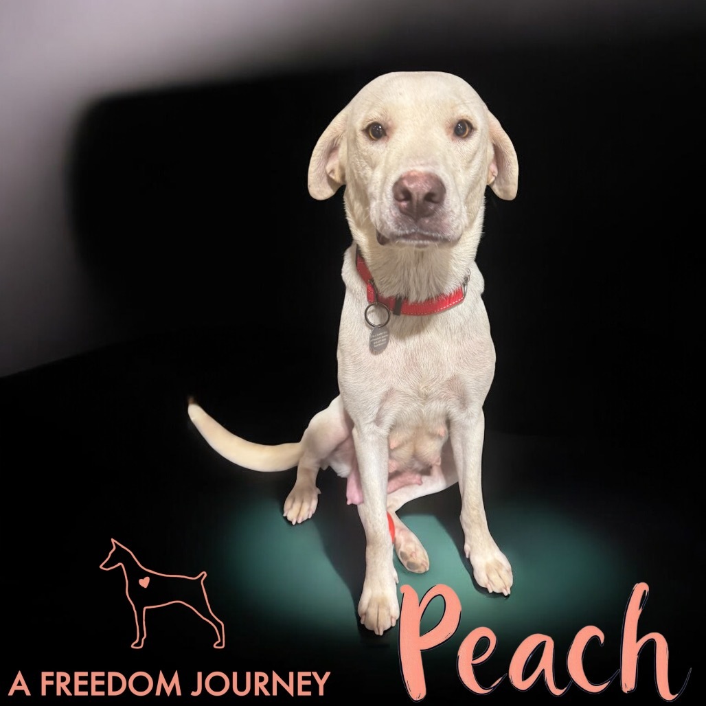 Peach
