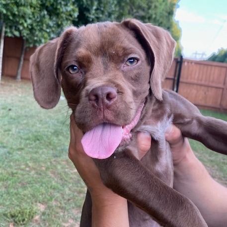 Oakley