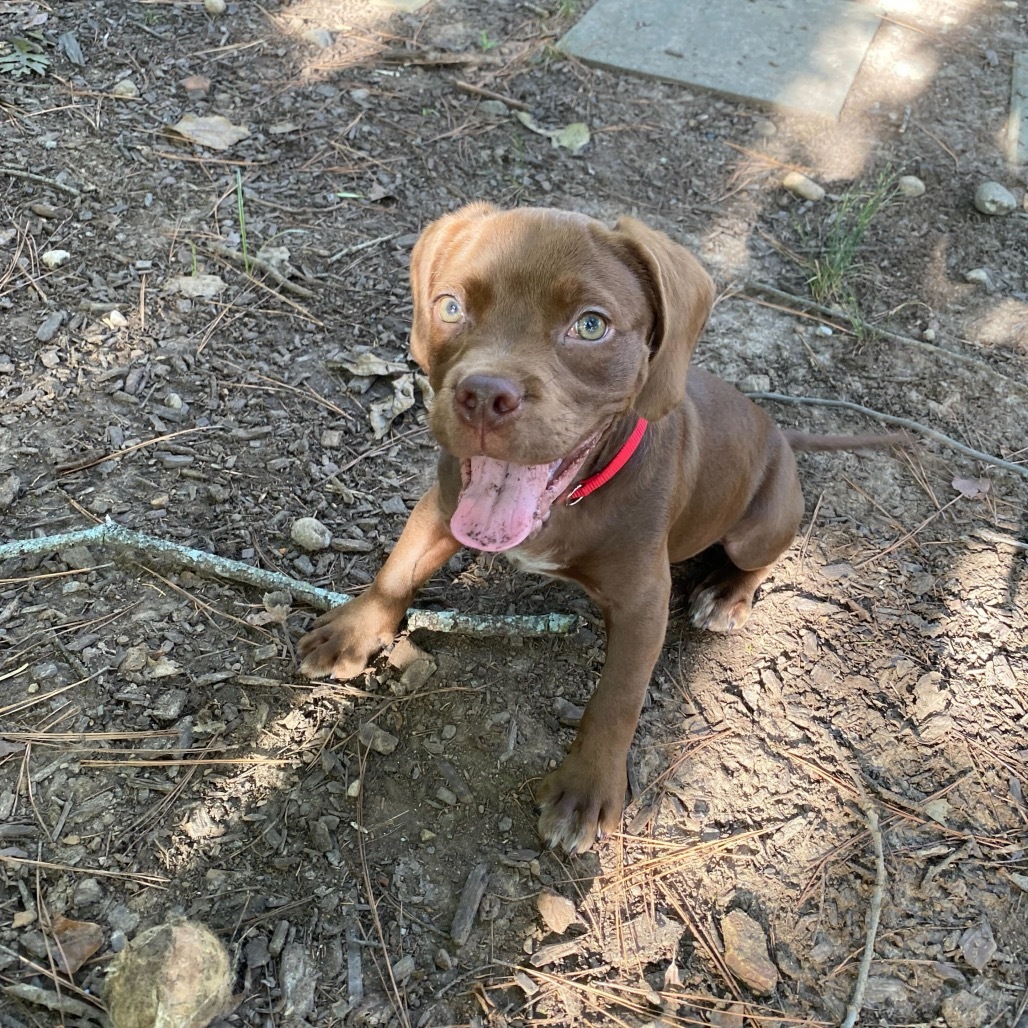 Oakley