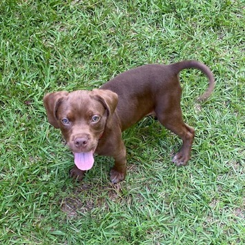 Oakley