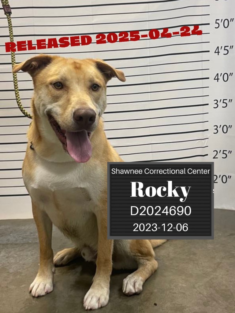 Rocky