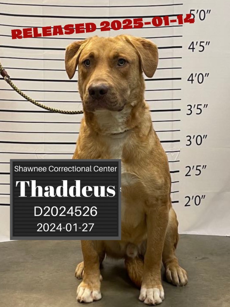 Thaddeus