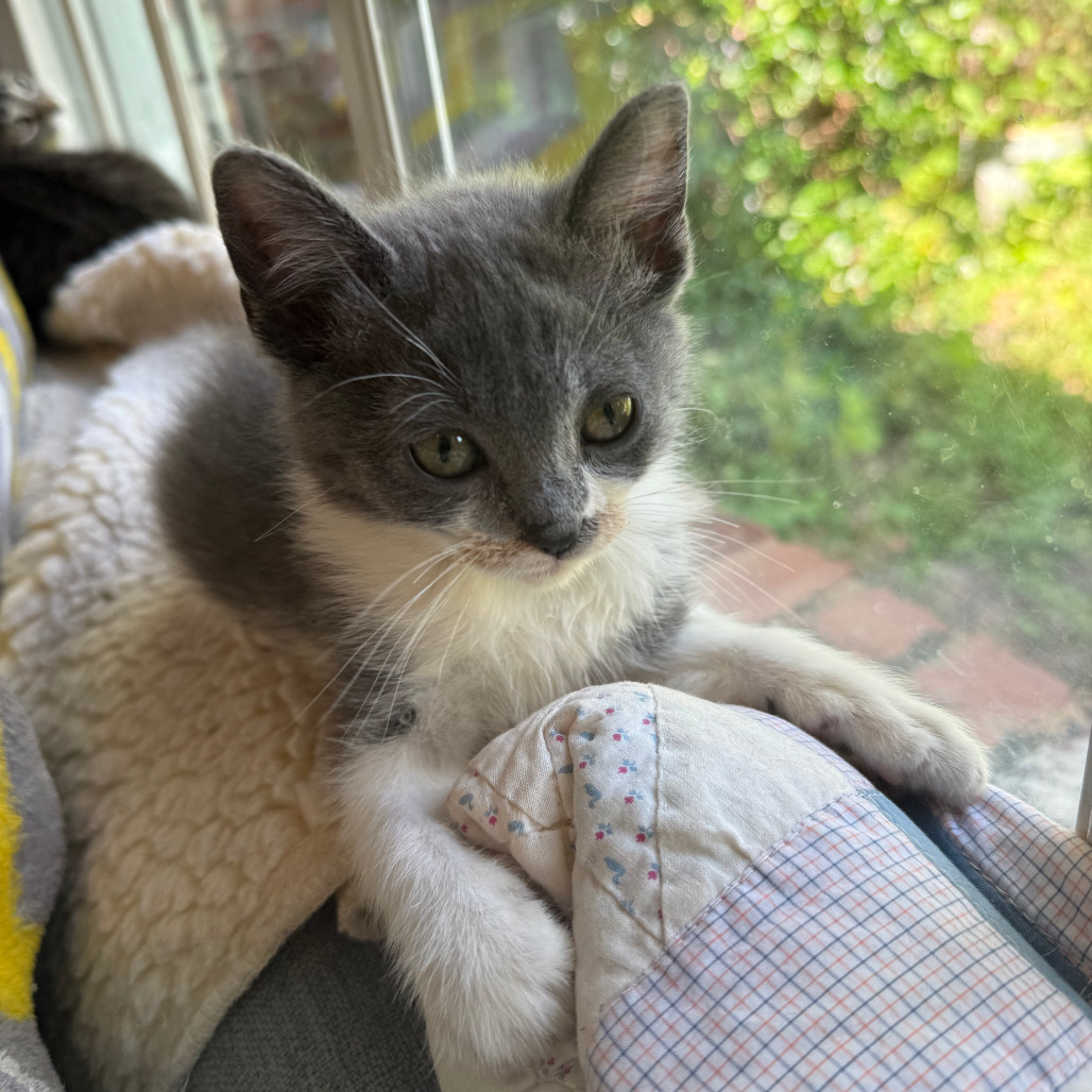 Luna 2 (fka Cardinal)